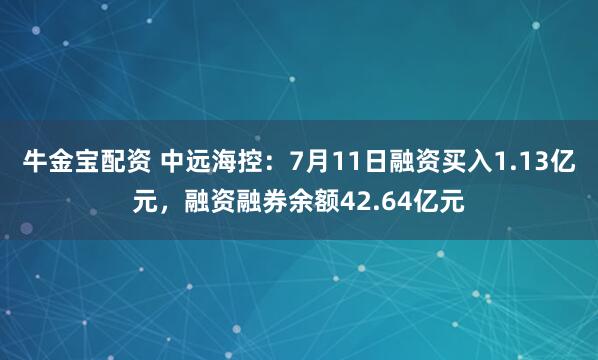 牛金宝配资 中远海控：7月11日融资买入1.13亿元，融资融券余额42.64亿元